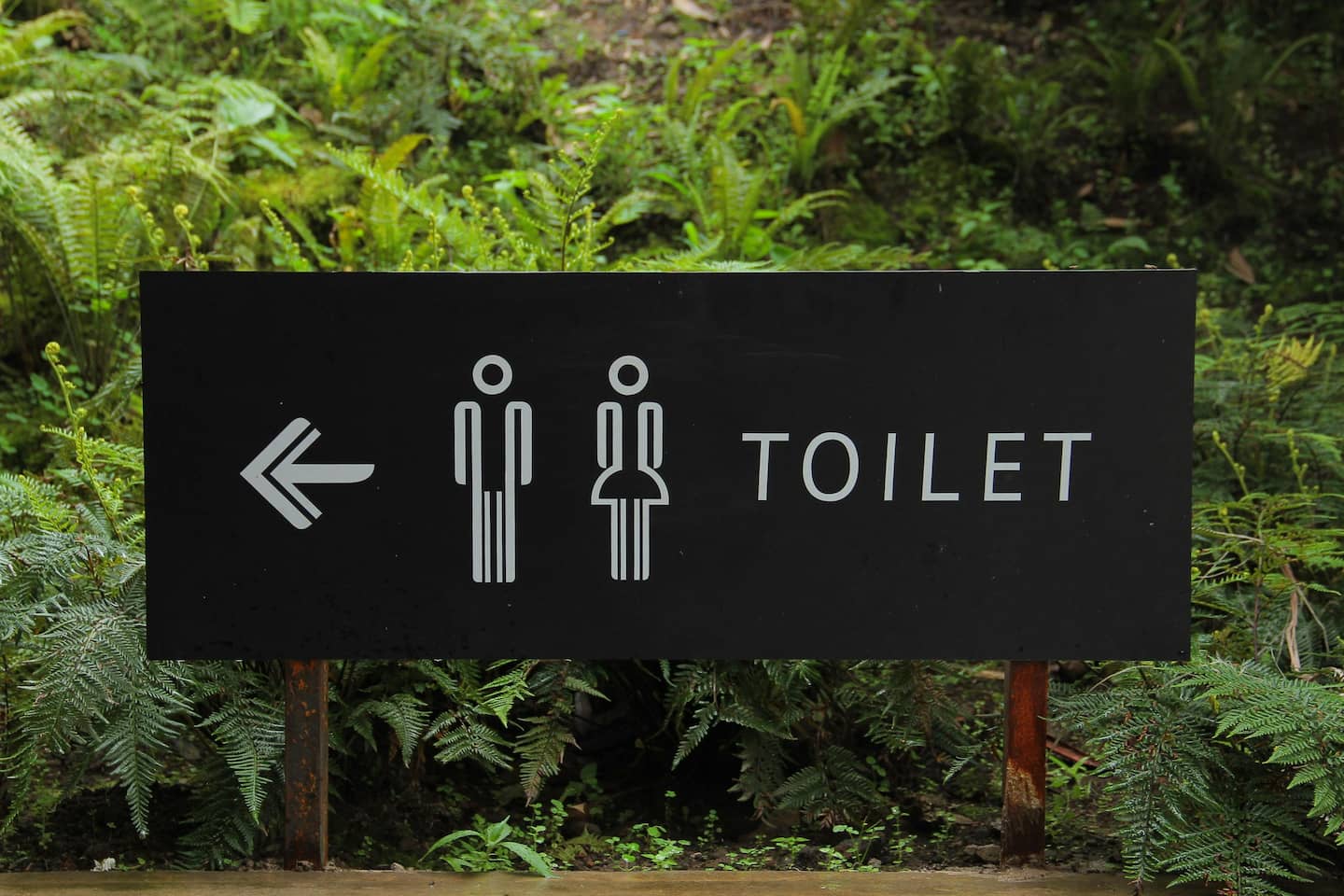 Fondo letreto de Toilet